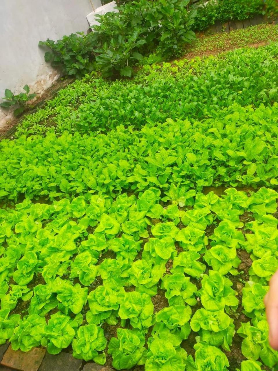 邦美蜀 La Giang Garden酒店 外观 照片